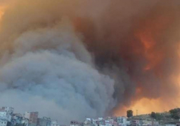 الجزائر: حرائق الغابات متعمدة والوفيات ترتفع إلى 6 أشخاص