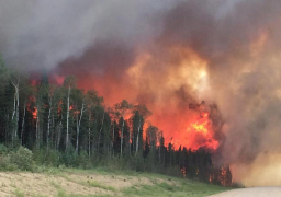 الجزائر.. ارتفاع ضحايا حرائق الغابات إلى 65 شخصا