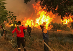 الحماية المدنية في الجزائر تعلن إخماد الحرائق
