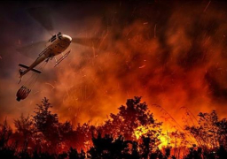 تونس: درجة الحرارة اليوم بلغت 48.8 درجة في الظل.. واندلاع حرائق ضخمة في الغابات