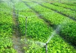 عبد العاطي: ترشيد المياه والتنمية المستدامة الهدف الرئيسي للري الحديث