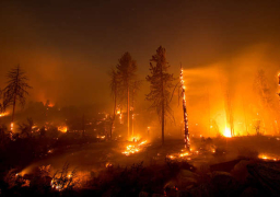 اليونان: طائرات مكافحة الحرائق تستأنف عملياتها لمواجهة حريق الغابات