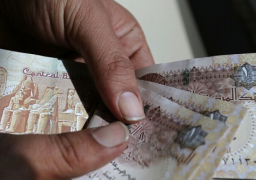 “معلومات الوزراء”: “فيتش” تتوقع استقرار قيمة الجنيه خلال 2021