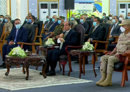 السيسي: البلاد تبنى بالعمل .. ولن نسكت على الغلط