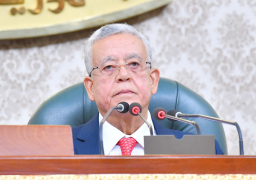 رئيس النواب يتوجه إلى فيينا على رأس وفد مصري رفيع المستوى