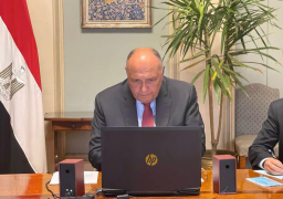 شكري يشارك عبر الفيديوكونفرانس في الاجتماع رفيع المستوى حول السودان