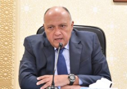 شكري يؤكد موقف مصر الثابت من دعم القضية الفلسطينية