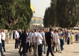 مئات المستوطنين يقتحمون باحات المسجد الأقصى بحماية شرطة الاحتلال