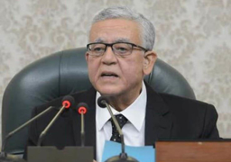 رئيس مجلس النواب يشيد بالزخم الإيجابي في العلاقة بين القاهرة وفيينا