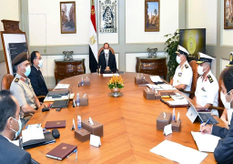 السيسي يوجه بمواصلة تنفيذ مختلف المشروعات ذات الصلة بحماية الشواطئ