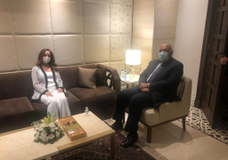 شكري يؤكد موقف مصر الداعم للبنان ولأهمية تشكيل حكومته