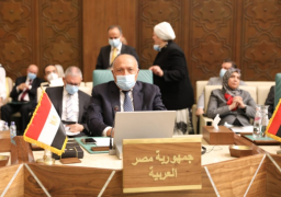 شكري: مصر مستمرة في العمل دون كلل لمواجهة تحديات المنطقة العربية