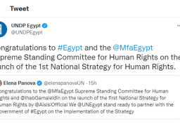 “الأمم المتحدة الإنمائى” يهنئ مصر على إطلاق الاستراتيجية الوطنية لحقوق الإنسان