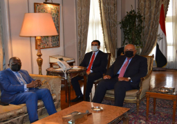 شكري يستقبل نائب رئيس الوزراء ووزير خارجية جمهورية الكونغو الديمقراطي