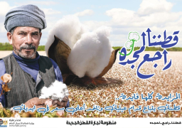 “قطاع الاعمال”: في أول مزاد للقطن بكفر الشيخ.. بيع 4.9 ألف قنطار بسعر “4540-4590” جنيها للقنطار