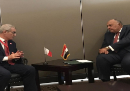 شكري يبحث مع وزير خارجية مالطا العلاقات الثنائية بين البلدين