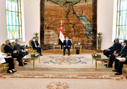 الرئيس السيسي يؤكد التطلع لتطوير العلاقات مع البرازيل في مختلف المجالات