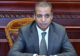 أمين مجلس الشيوخ يؤكد أهمية البرنامج التمكيني لدبلوماسية موحدة