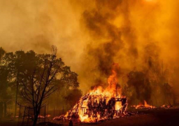 استمرار اشتعال حرائق الغابات تهدد أشجار السيكويا العملاقة في كاليفورنيا