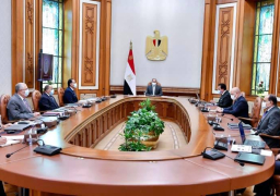 الرئيس يتابع تطوير وتحديث مراكز البحوث الزراعية على مستوى الجمهورية