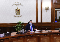 رئيس الوزراء يستعرض مقترحا لإنشاء مركز لتصنيع السيارات شرق بورسعيد