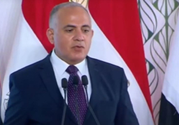 عبد العاطي: 100 مليار دولار حجم المشروعات بمجال الموارد المائية