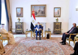 الرئيس السيسي : مصر حريصة على تطوير التعاون والتنسيق الثنائي مع الكويت
