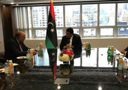 شكري يبحث العلاقات الثنائية مع رئيس المجلس الرئاسي الليبي