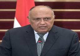 شكري وبلينكن يتفقان على العمل للإعداد لجولة الحوار الاستراتيجي القادمة