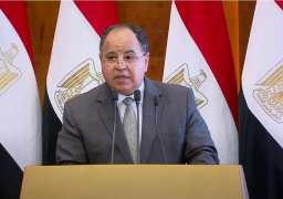 وزير المالية : «إحلال المركبات» نموذج لمشروعات التحول للاقتصاد الأخضر