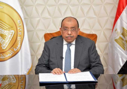 شعراوي: الاستعداد لاستضافة «يوم المدن العالمي» بالأقصر 30 و31 أكتوبر بحضور رئيس الوزراء ومنظمات دولية وسفراء