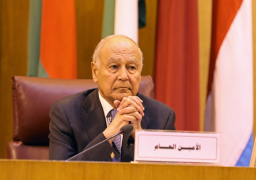 أبو الغيط: قيس سعيد يملك تصميمًا ورغبة قوية لاستعادة الدولة الوطنية في تونس