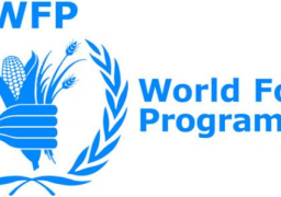 الأغذية العالمي يحذر من الانهيار الاقتصادي وتردي الأحوال المعيشية في أفغانستان