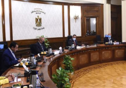 مدبولي يتابع جاهزية المنشآت والخدمات بالإدارية تمهيدا للانتقال بديسمبر