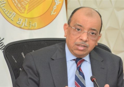 شعراوي: الرئيس السيسي يتابع المنظومة الجديدة للمخلفات بصورة مستمرة