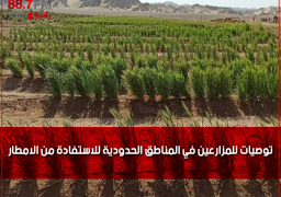 توصيات للمزارعين في المناطق الحدودية للاستفادة من الامطار