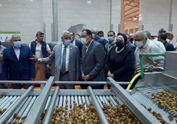 رئيس الوزراء يتفقد مجمع تمور الوادي الجديد