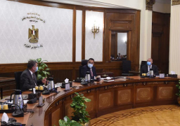 رئيس الوزراء يتابع جهود تسهيل حركة البضائع بين مصر والدول الأفريقية