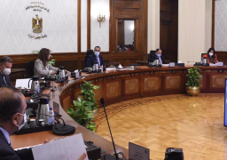 المجموعة الاقتصادية برئاسة رئيس الوزراء تستعرض دراسة متكاملة لتمكين القطاع الخاص وتعزيز دوره في الاقتصاد المصري