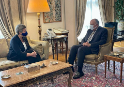 شكري يبحث مع المفوضة الأوروبية للشؤون الداخلية التعاون بمجال الهجرة