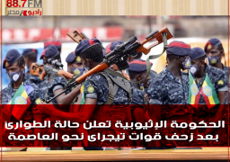 الحكومة الإثيوبية تعلن حالة الطوارئ بعد زحف قوات تيجراى نحو العاصمة