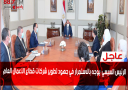 الرئيس السيسي يوجه بالاستمرار في جهود تطوير شركات قطاع الأعمال العام