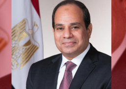 السيسي يتوجه لفرنسا للمشاركة في مؤتمر باريس الدولي حول ليبيا