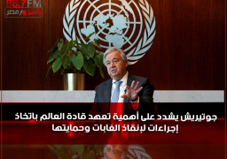 جوتيريش يشدد على أهمية تعهد قادة العالم باتخاذ إجراءات لإنقاذ الغابات وحمايتها