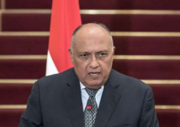 اليوم.. وزير الخارجية يلتقي المدير التنفيذي لهيئة الأمم المتحدة للمرأة