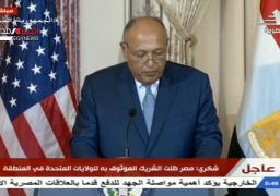 شكري: الشراكة بين مصر وأمريكا مهمة جدا للحفاظ على السلام في المنطقة