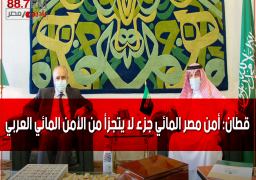 قطان: أمن مصر المائي جزء لا يتجزأ من الأمن المائي العربي