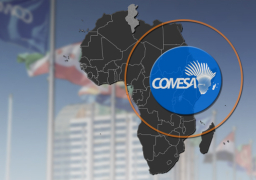 الرئيس السيسى يرأس اليوم قمة السوق المشتركة لدول “الكوميسا”