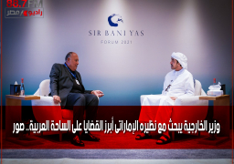 وزير الخارجية يبحث مع نظيره الإماراتى أبرز القضايا على الساحة العربية.. صور
