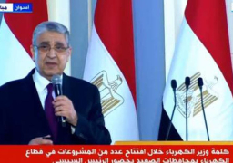 شاكر:أدخلنا 3636 ميجاوات للخدمةفي8 أشهر بتكلفة استثمارية 47 مليار جنيه